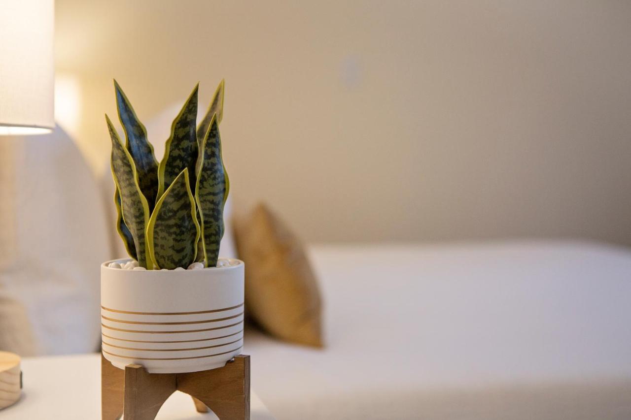 Stirling All Suites Hotel Nelson Eksteriør bilde