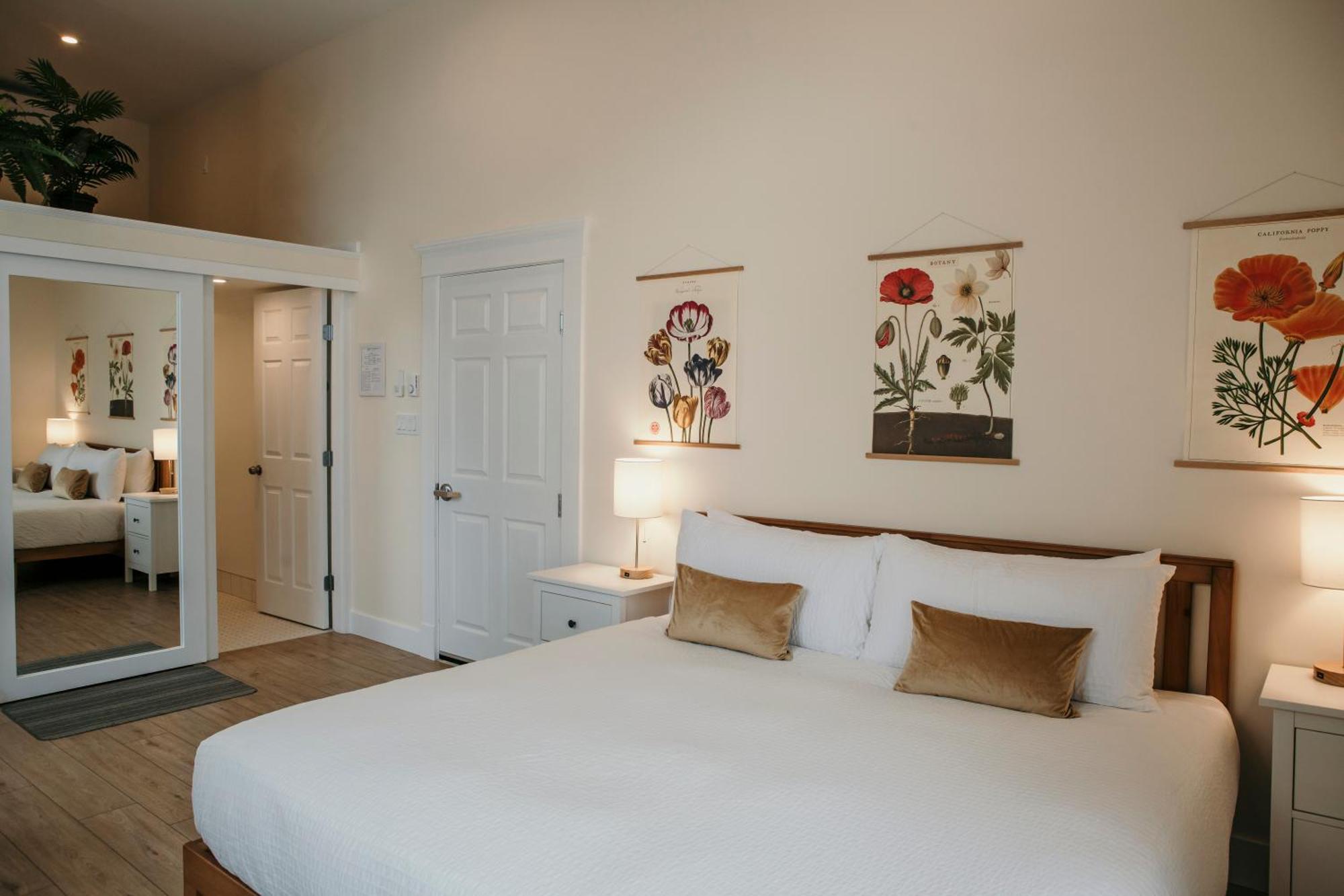 Stirling All Suites Hotel Nelson Rom bilde